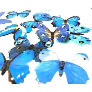 Lot of 90 3D Craft Butterflies 2in+ 13 Blue 19 Pink 22 Orange 11 Purple 25 Green